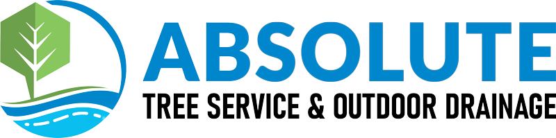Absolute Tree Service & Outdoor Drainage Logo