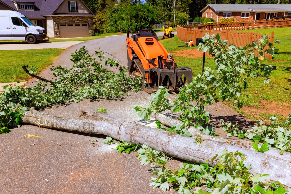 Storm Cleanup Tree Service Tennessee