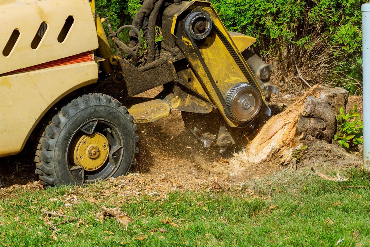 Stump Grinding Nashville TN
